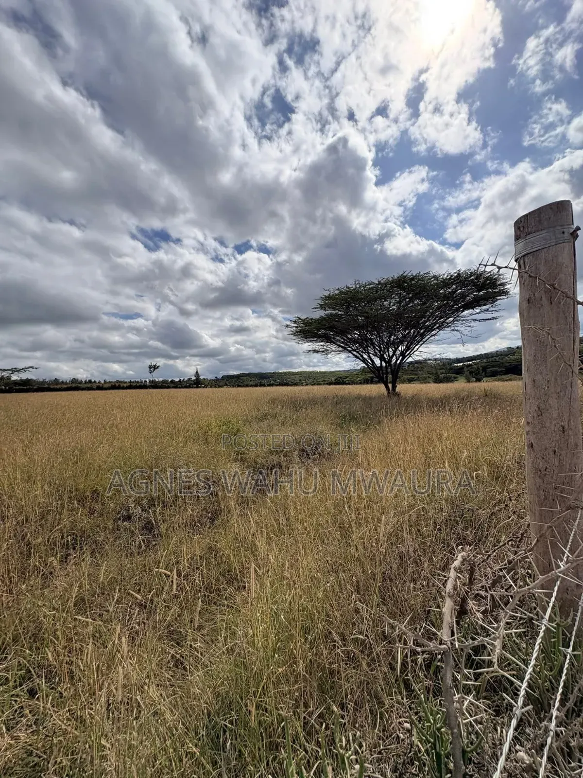 1/8 of an Acre in Kiserian Olerie