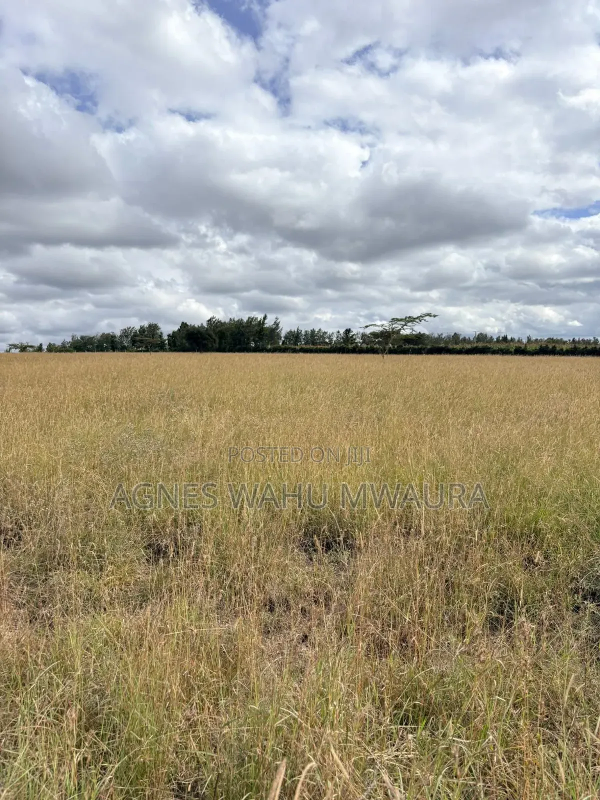 1/8 of an Acre in Kiserian Olerie