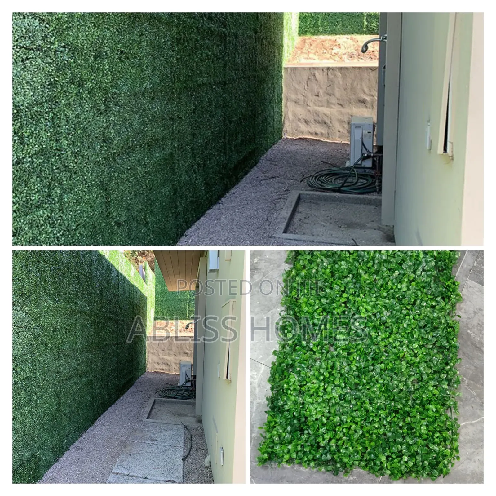 Boxwood Wall Hedges