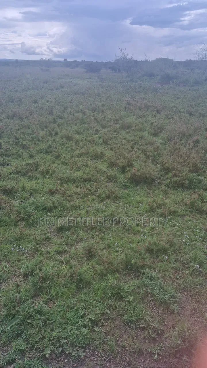 6 Acres at Mua Hills for Farming and Homestead