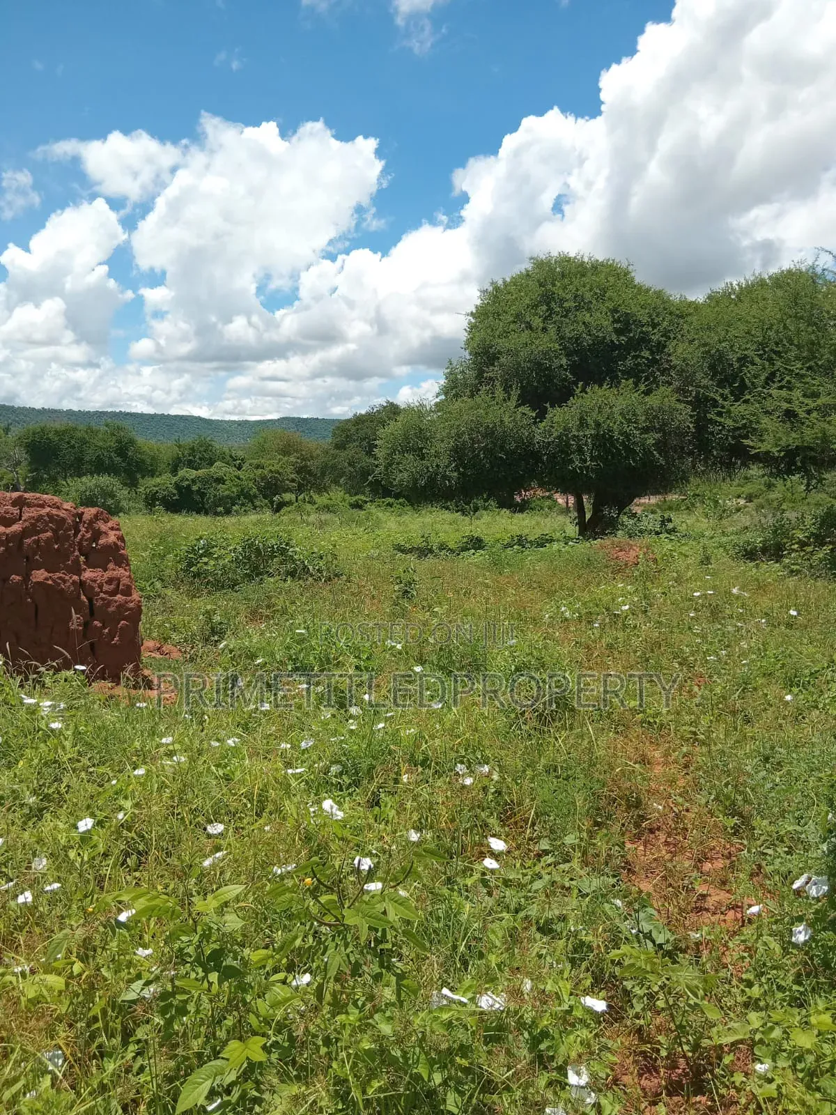 6 Acres at Mua Hills for Farming and Homestead