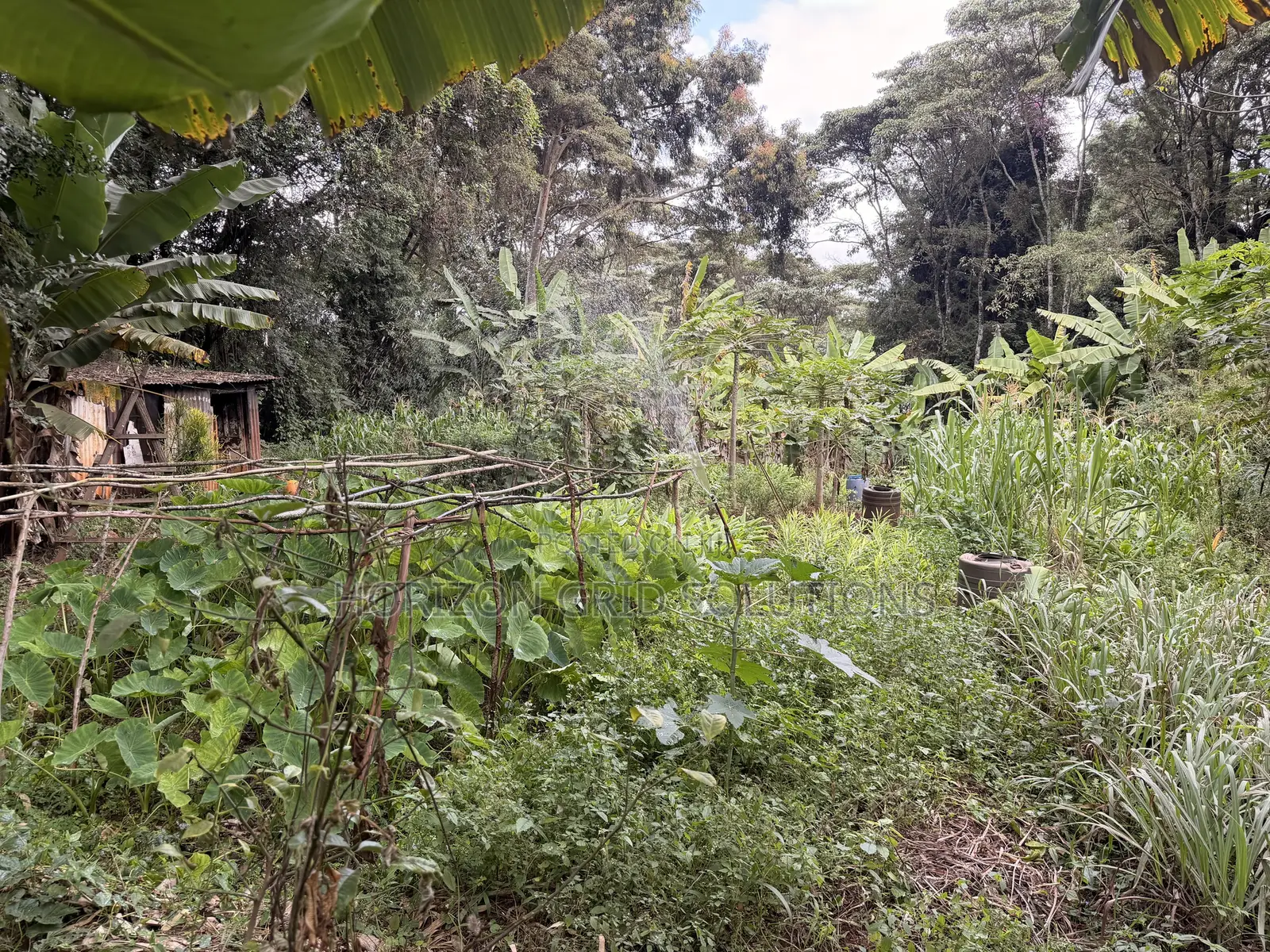 4.8 Acres St. Elizabeth