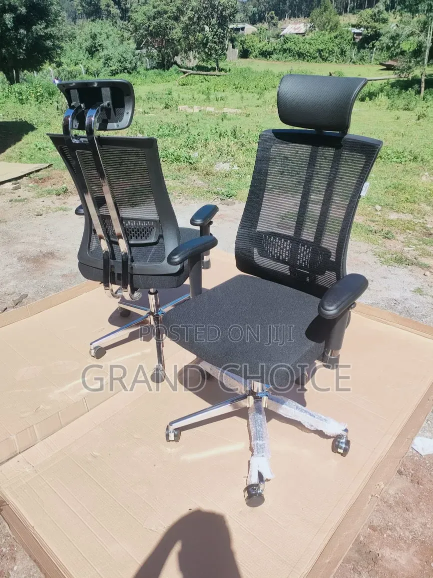 Office Orthopaedic Chair With Back Lumbar Support