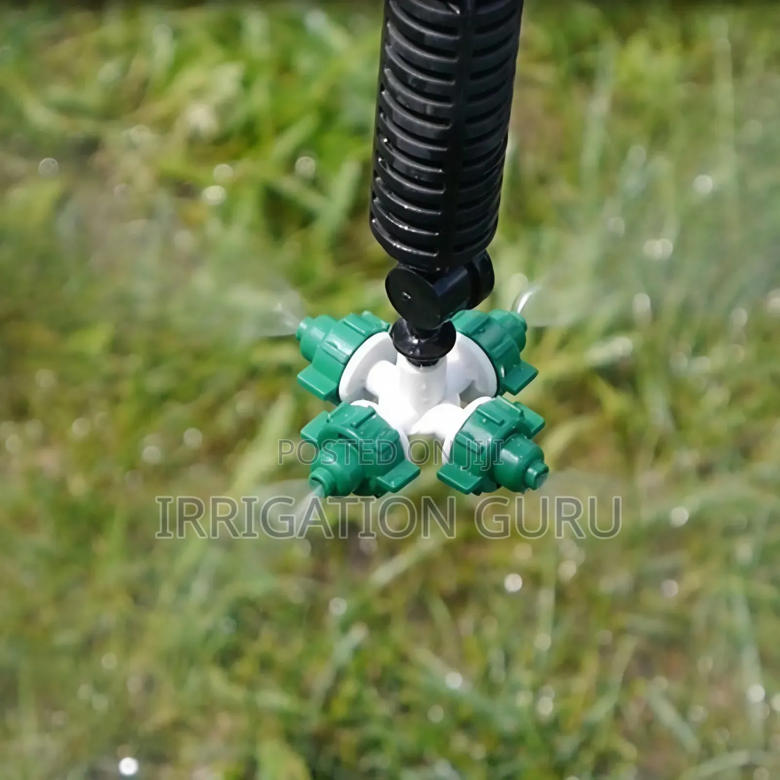 Green Sprinkler Green House