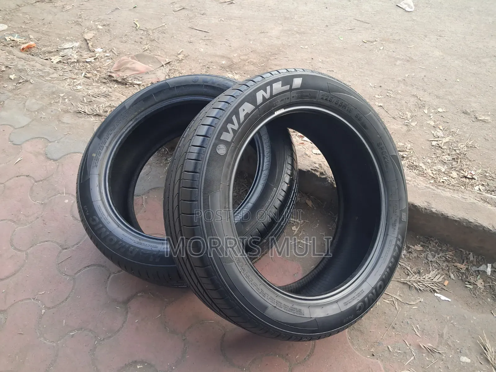 225/55r19 Wanli