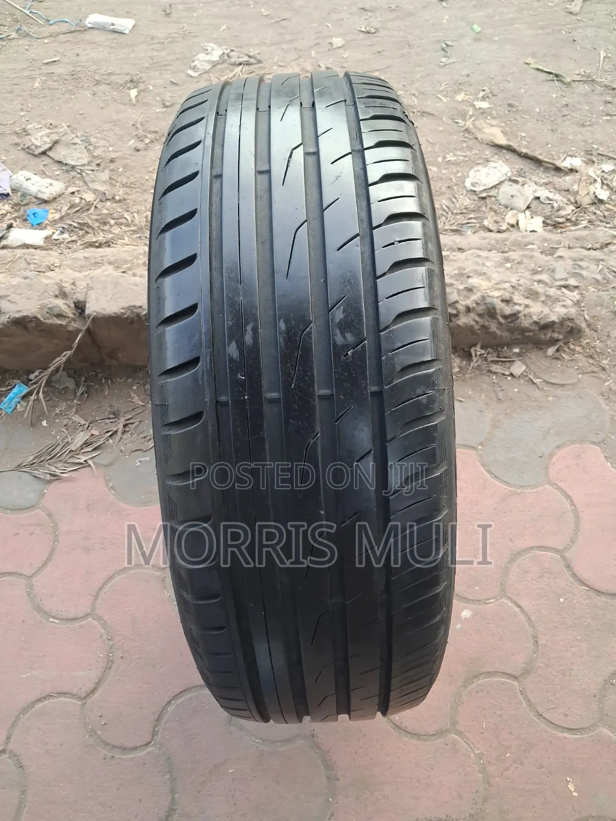 225/55r19 Toyo