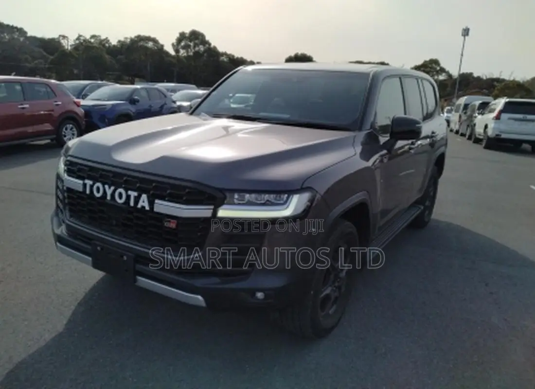 Toyota Land Cruiser LC300 2022 Gray