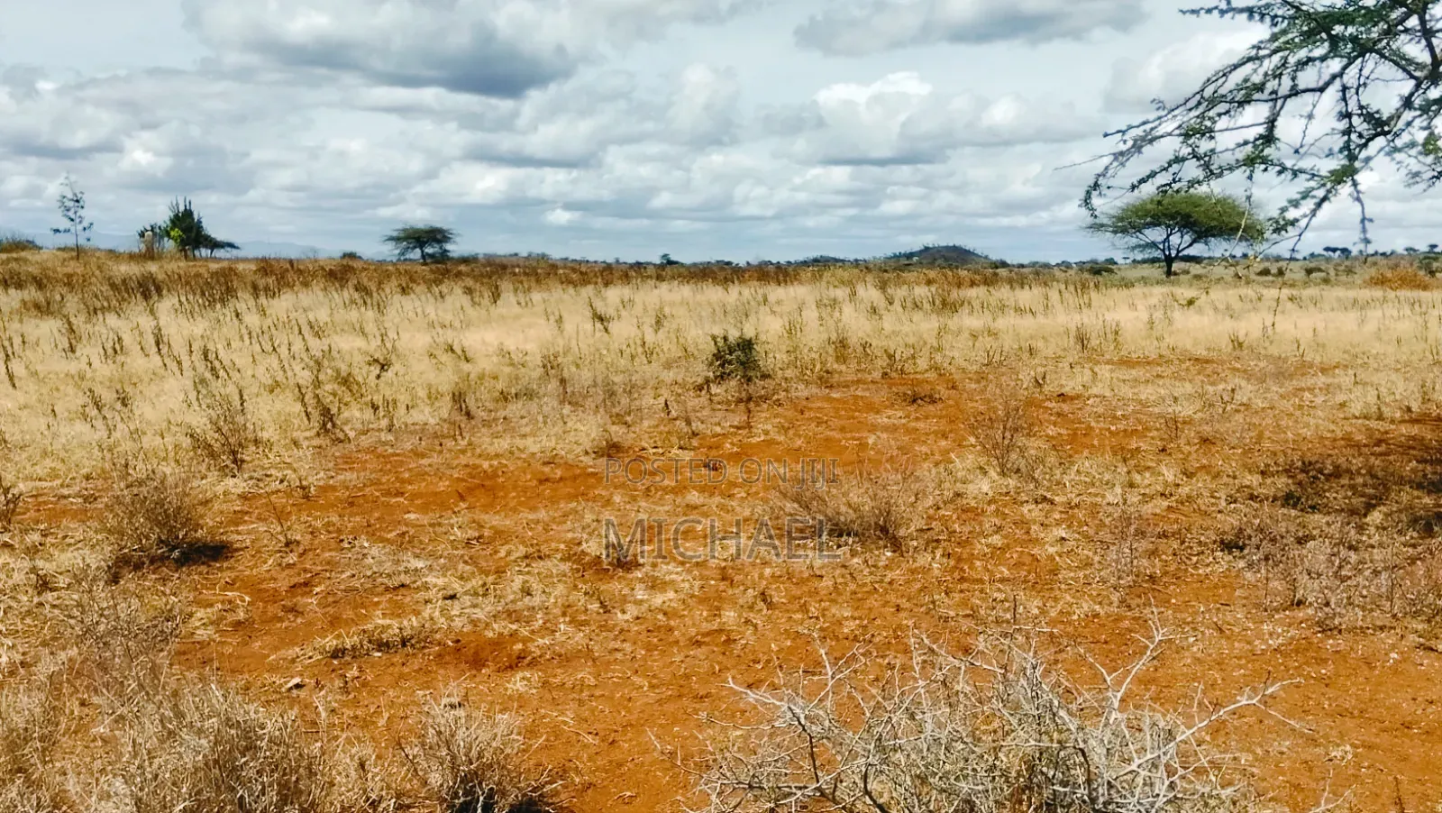 Prime 20 Acres for Sale – Great Investment Farming Opportunity! 