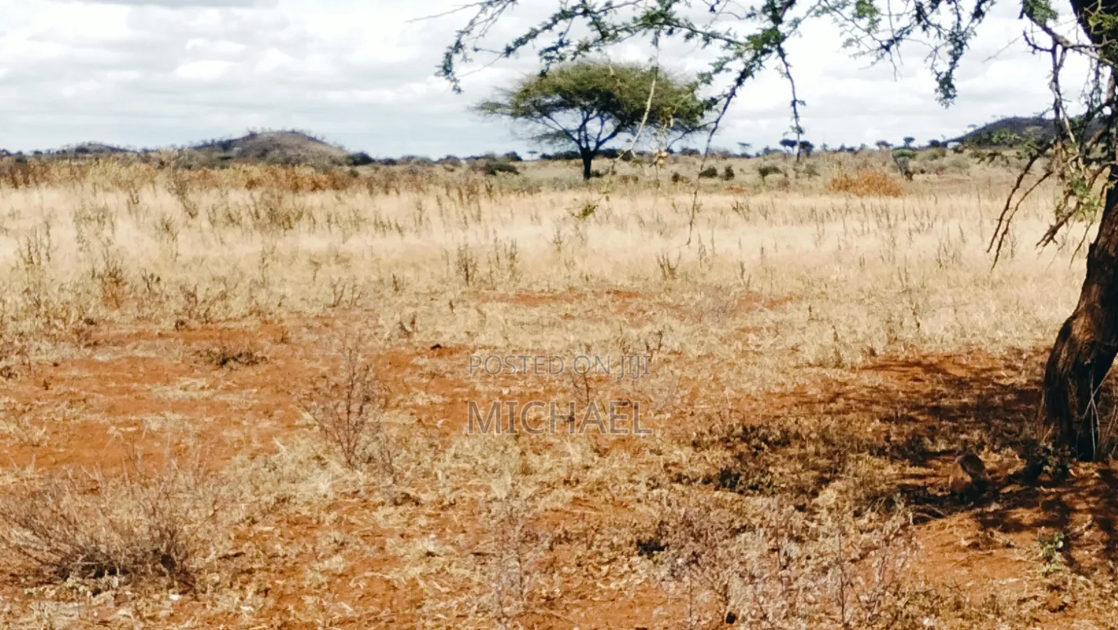 Prime 20 Acres for Sale – Great Investment Farming Opportunity! 