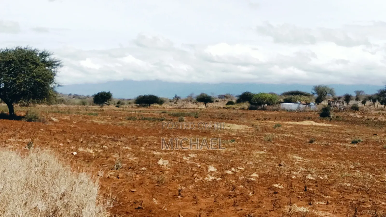 Prime 20 Acres for Sale – Great Investment Farming Opportunity! 