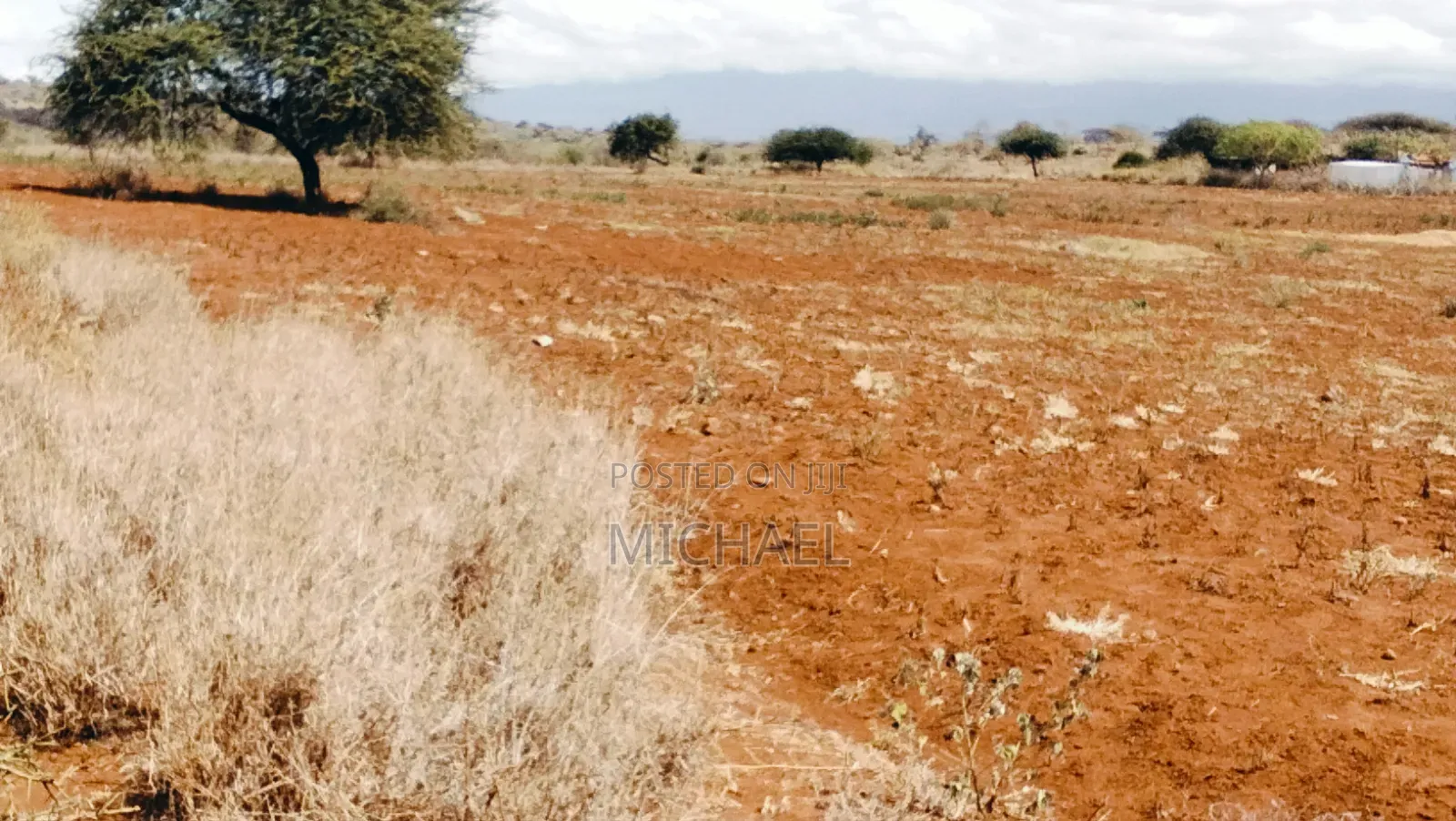Prime 20 Acres for Sale – Great Investment Farming Opportunity! 