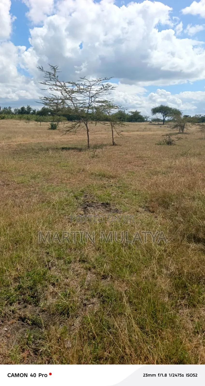 Land for Sell