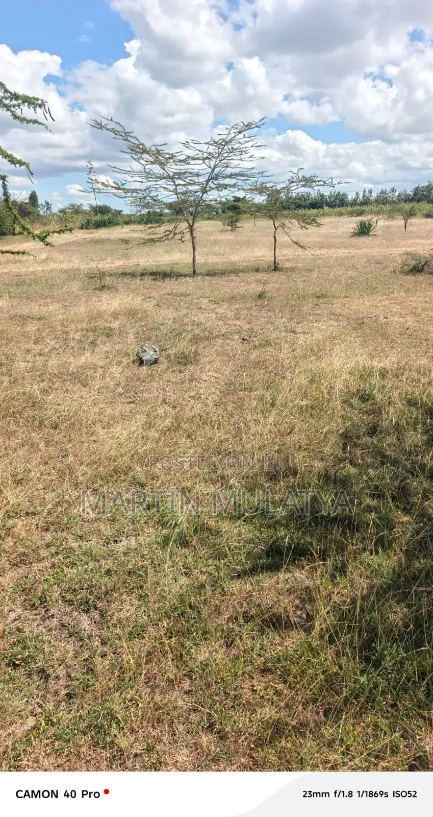 Land for Sell