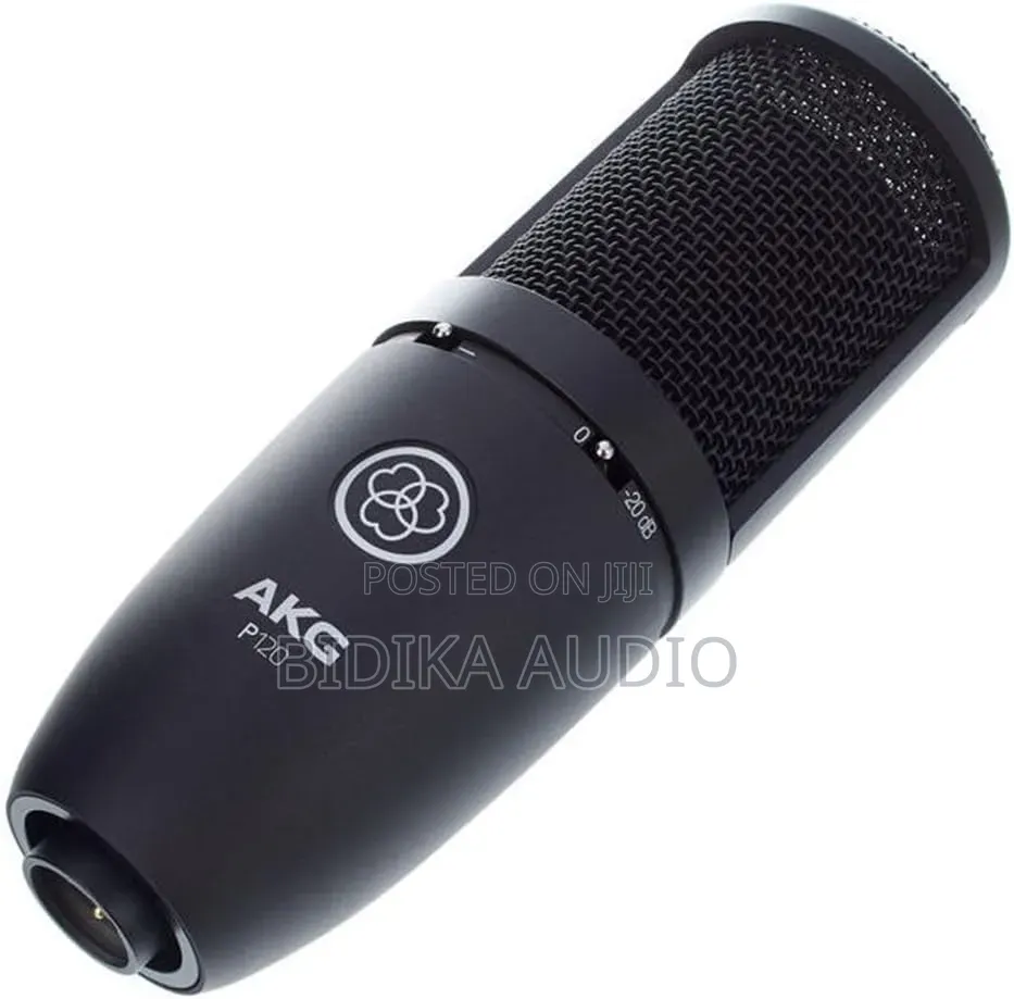 Akg Pro Audio P120 Affordable 2/3-Inch Diaphragm Condenser Microphone