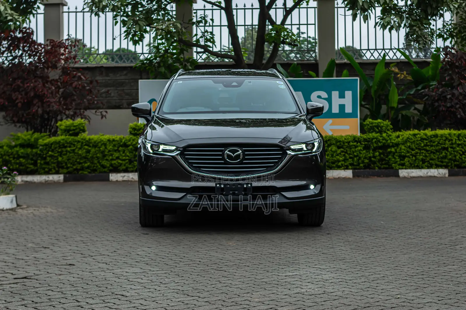 Mazda CX-8 2019 Brown