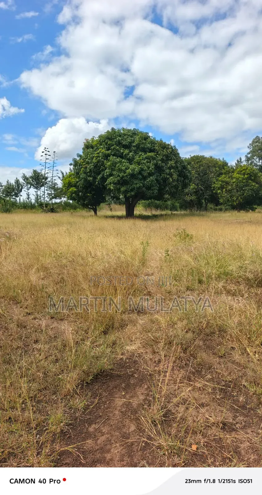 Land for Sell
