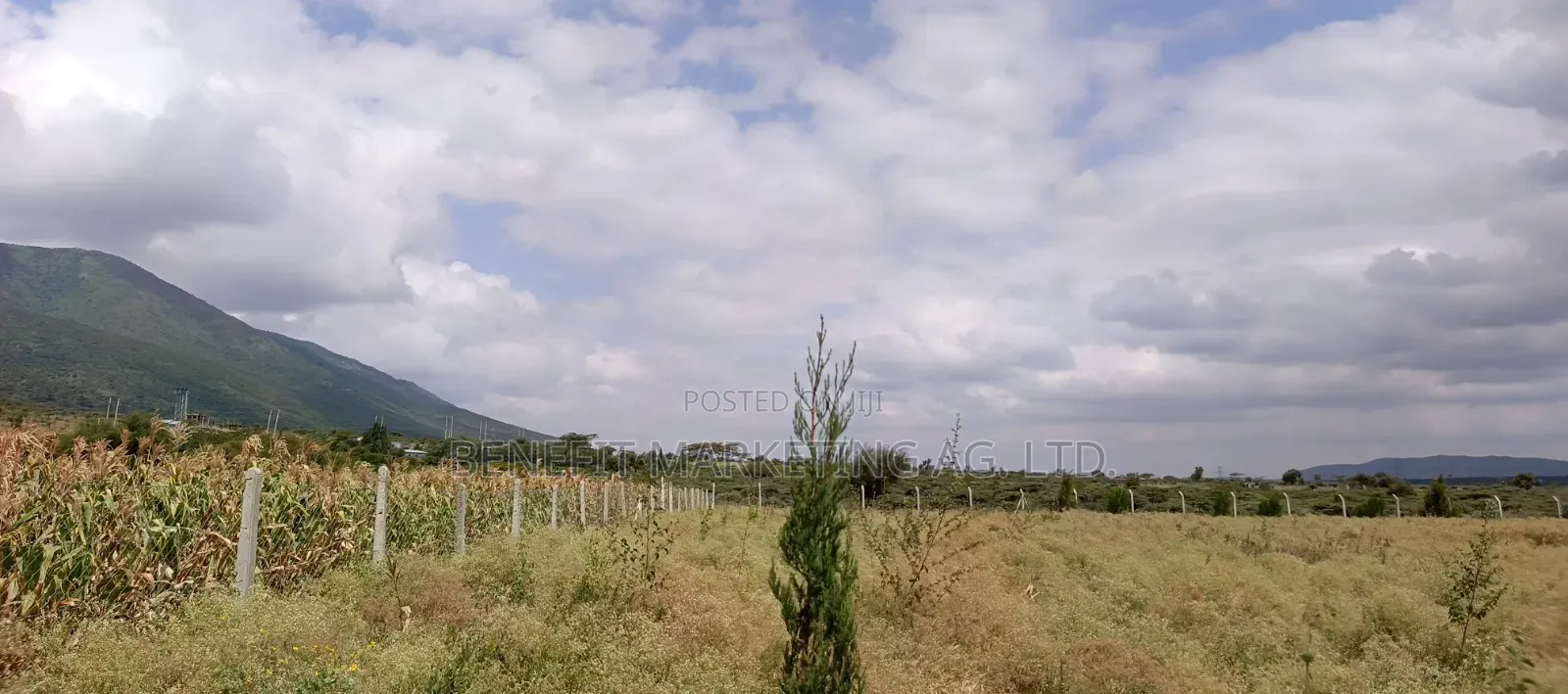 Plots for Sale in Ngong Kimuka.