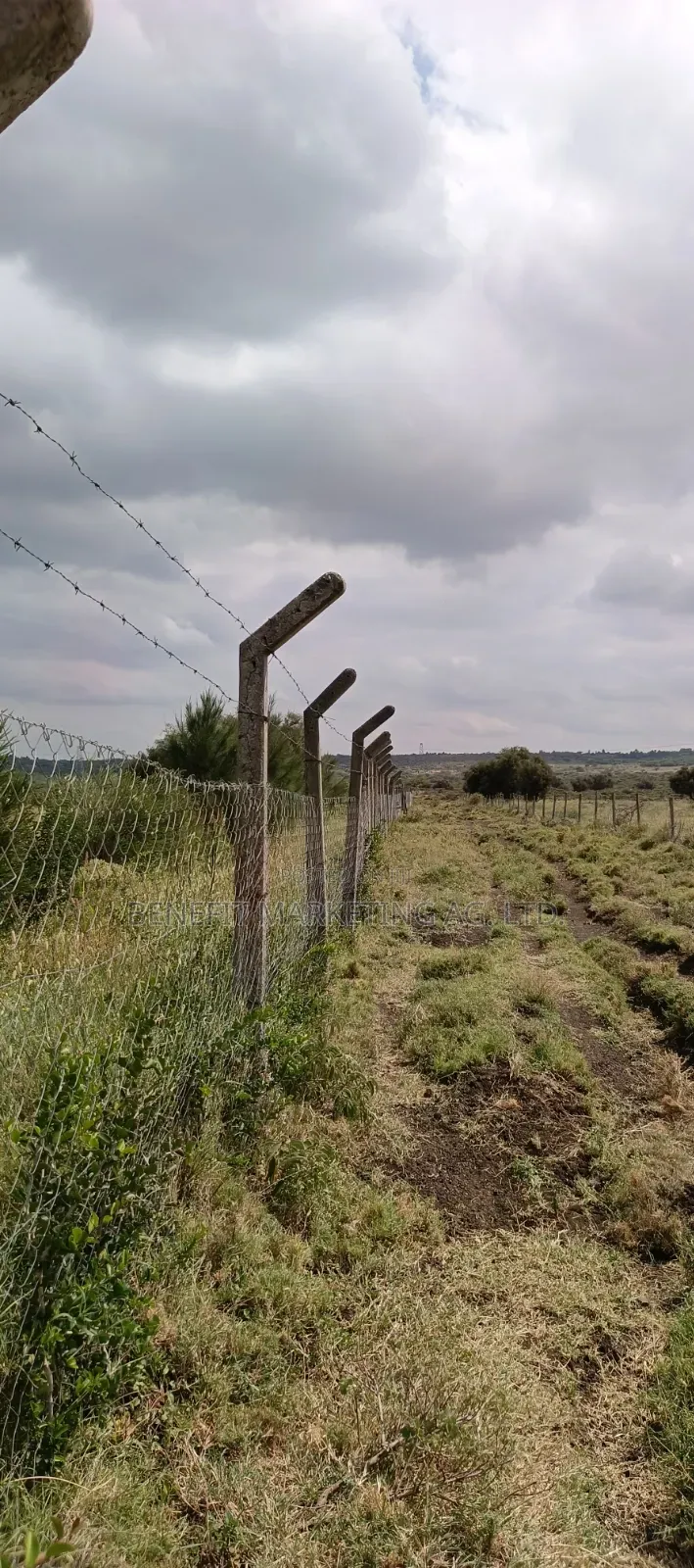 Plots for Sale in Ngong Kimuka.