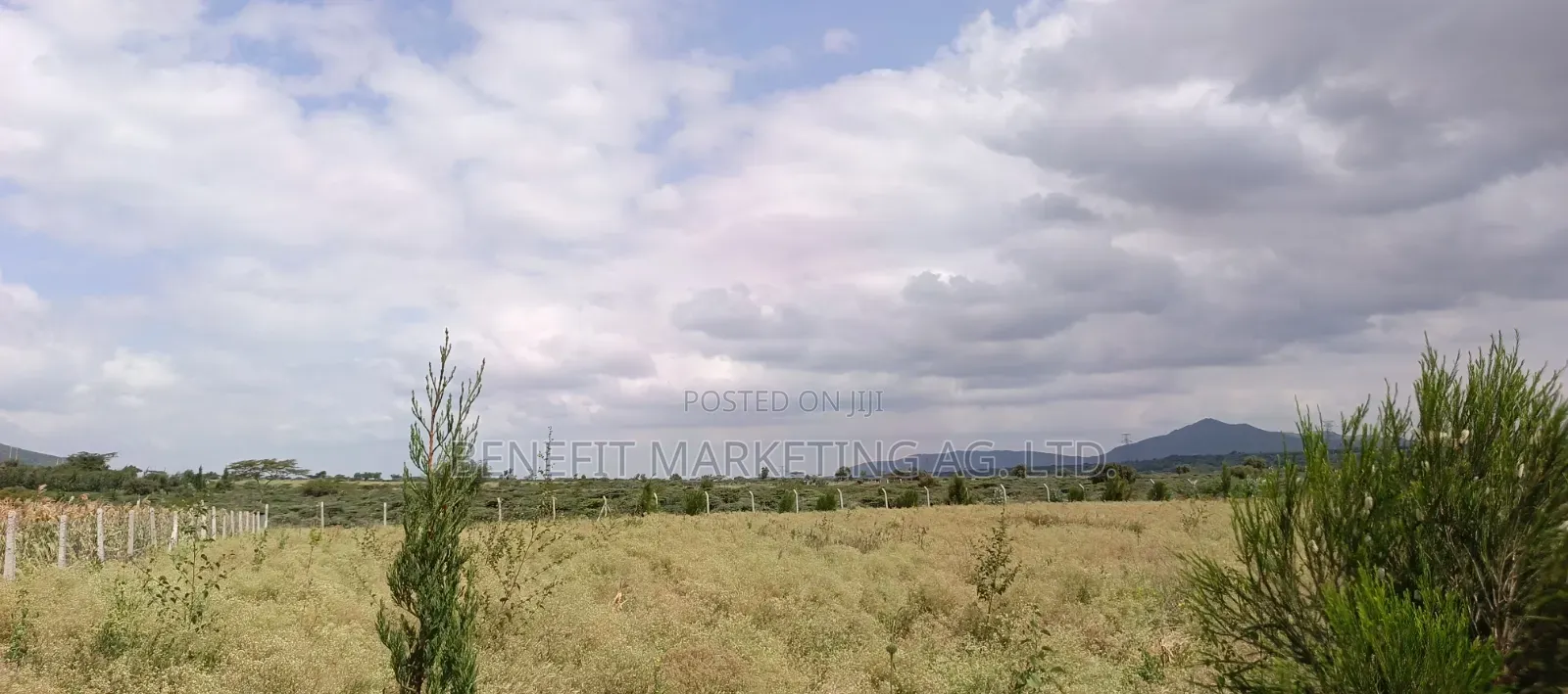 Plots for Sale in Ngong Kimuka.