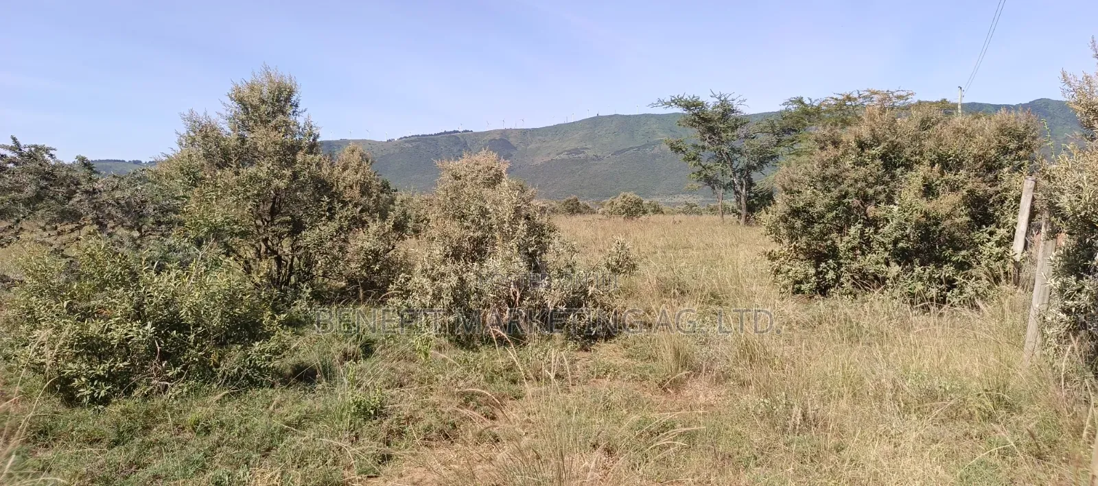 Half Acre Plot for Sale in Ngong Kimuka