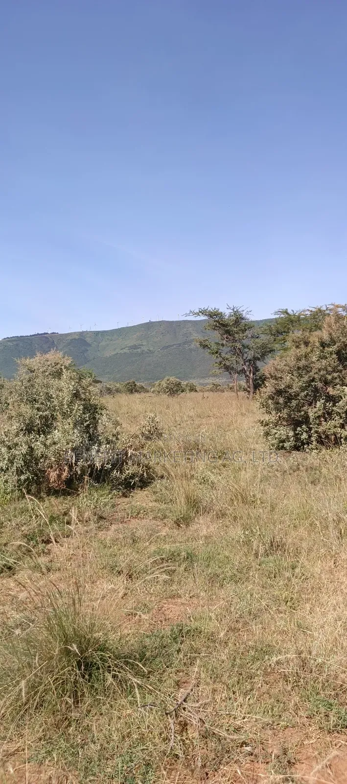 Half Acre Plot for Sale in Ngong Kimuka