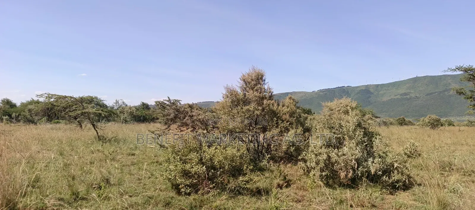 Half Acre Plot for Sale in Ngong Kimuka