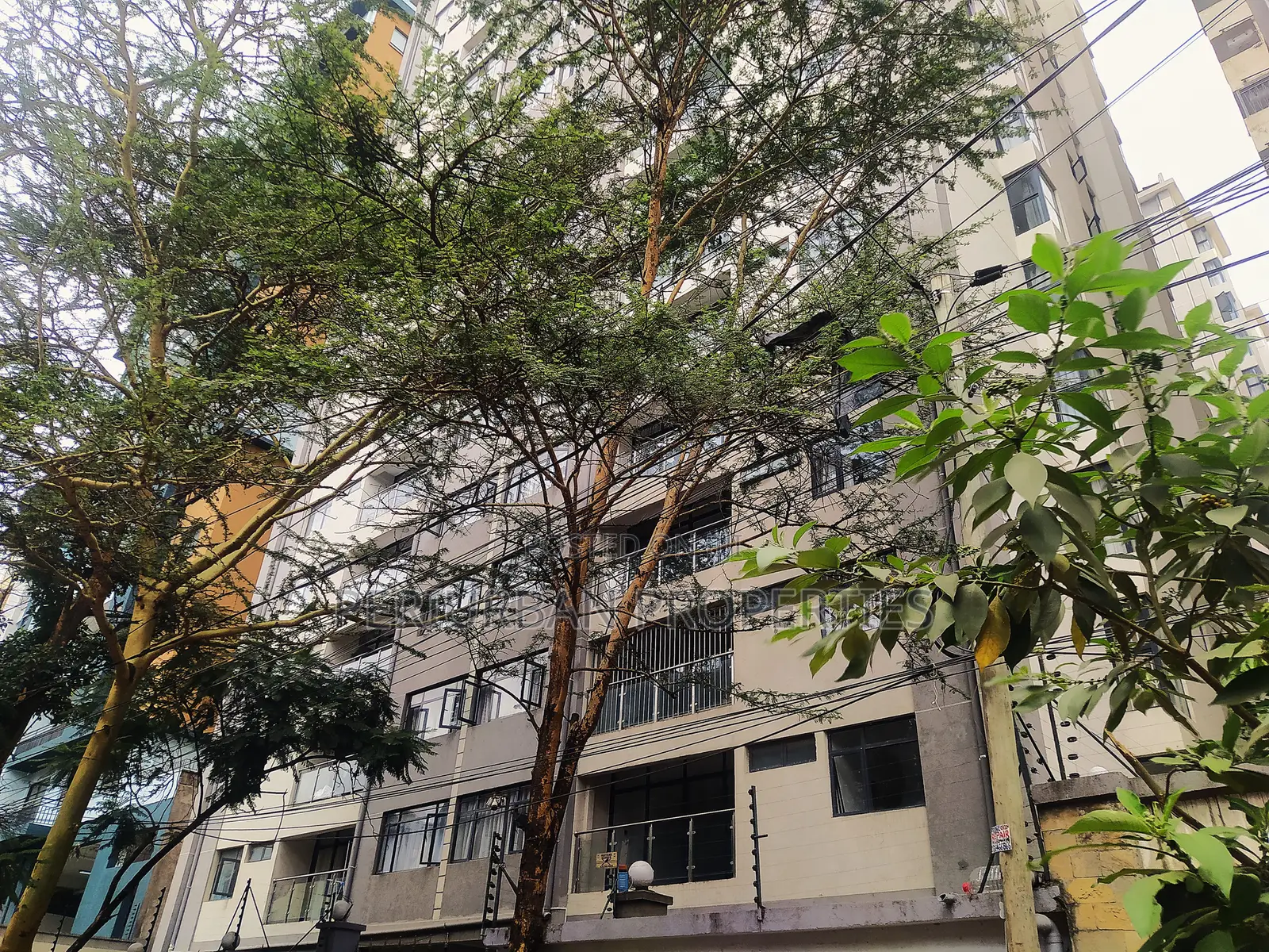 1bdrm Apartment in Heartlands Homes, Hurlingham for rent