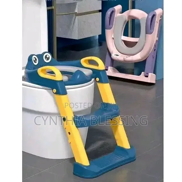 Kids Toilet Training Seat With Ladder