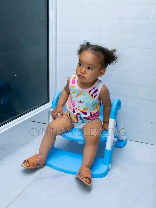 Kids Toilet Training Seat With Ladder