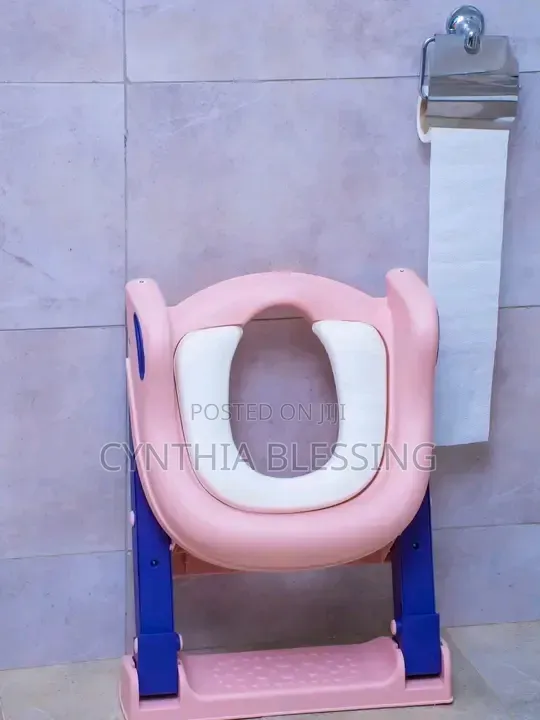 Kids Toilet Training Seat With Ladder