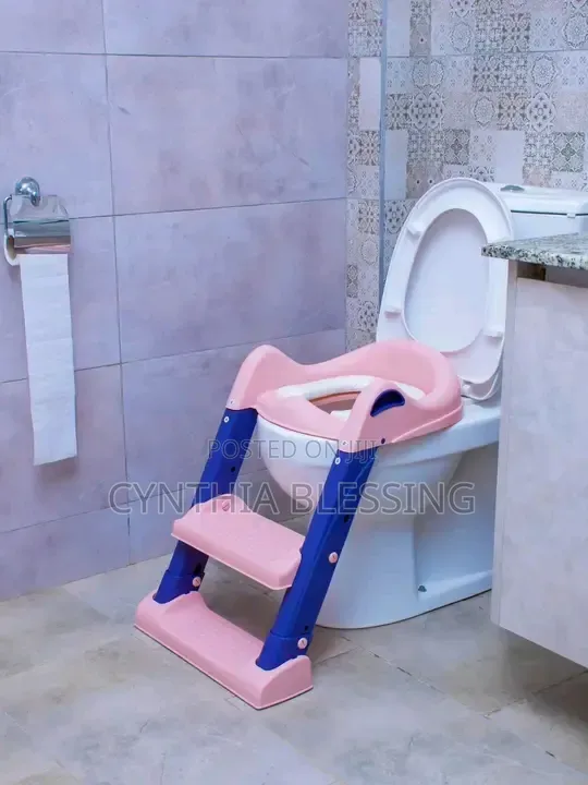Kids Toilet Training Seat With Ladder