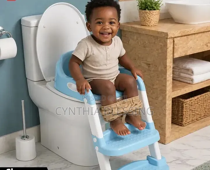 Kids Toilet Training Seat With Ladder