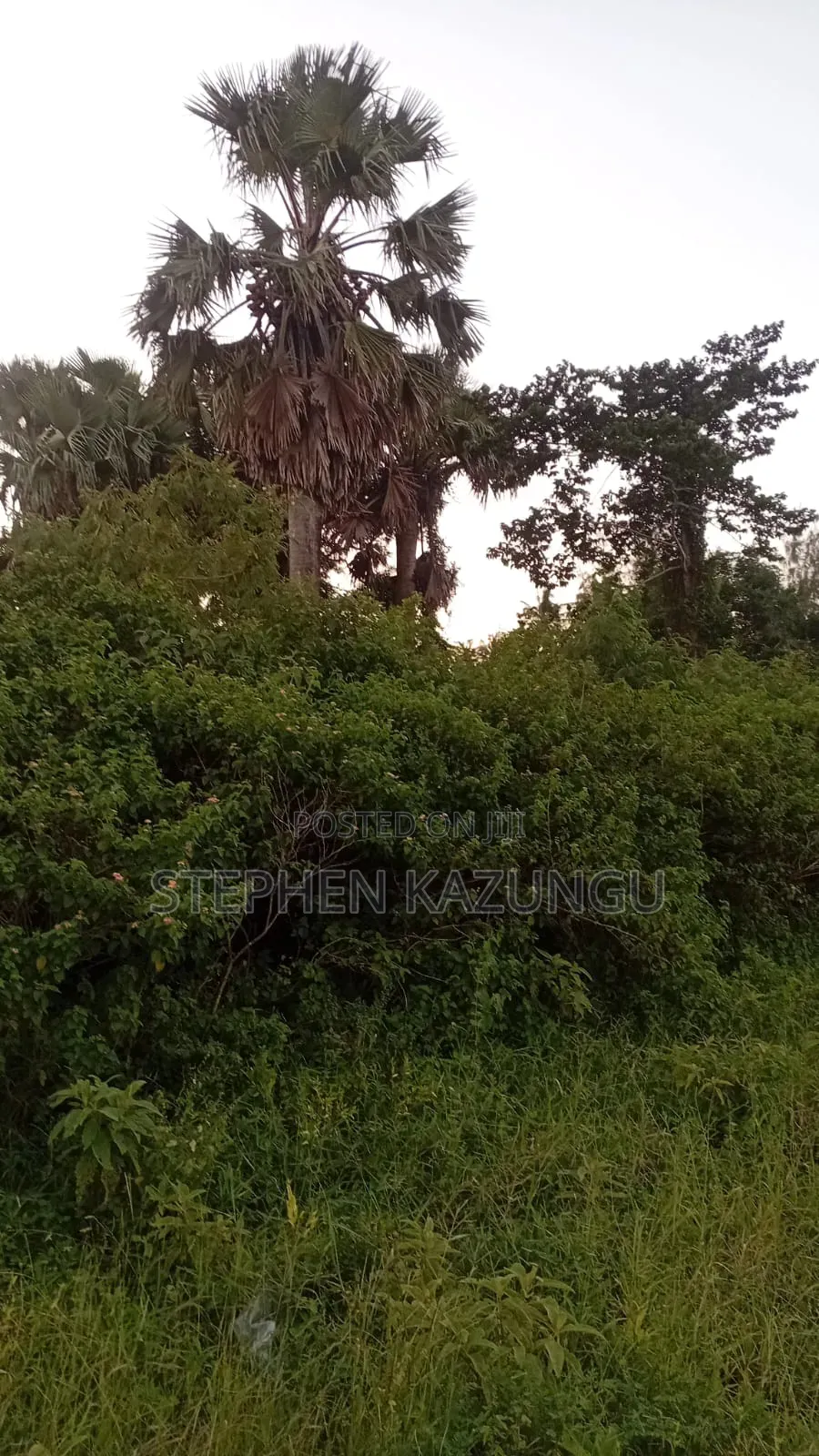 1/2 Acre Prime Business Zone on Ukunda's Lunga-Lunga Road