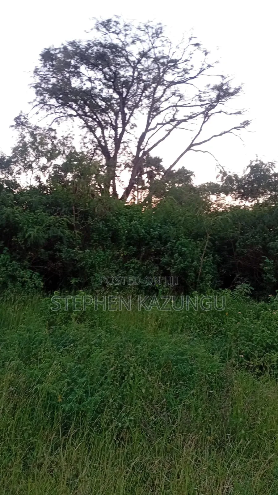 1/2 Acre Prime Business Zone on Ukunda's Lunga-Lunga Road
