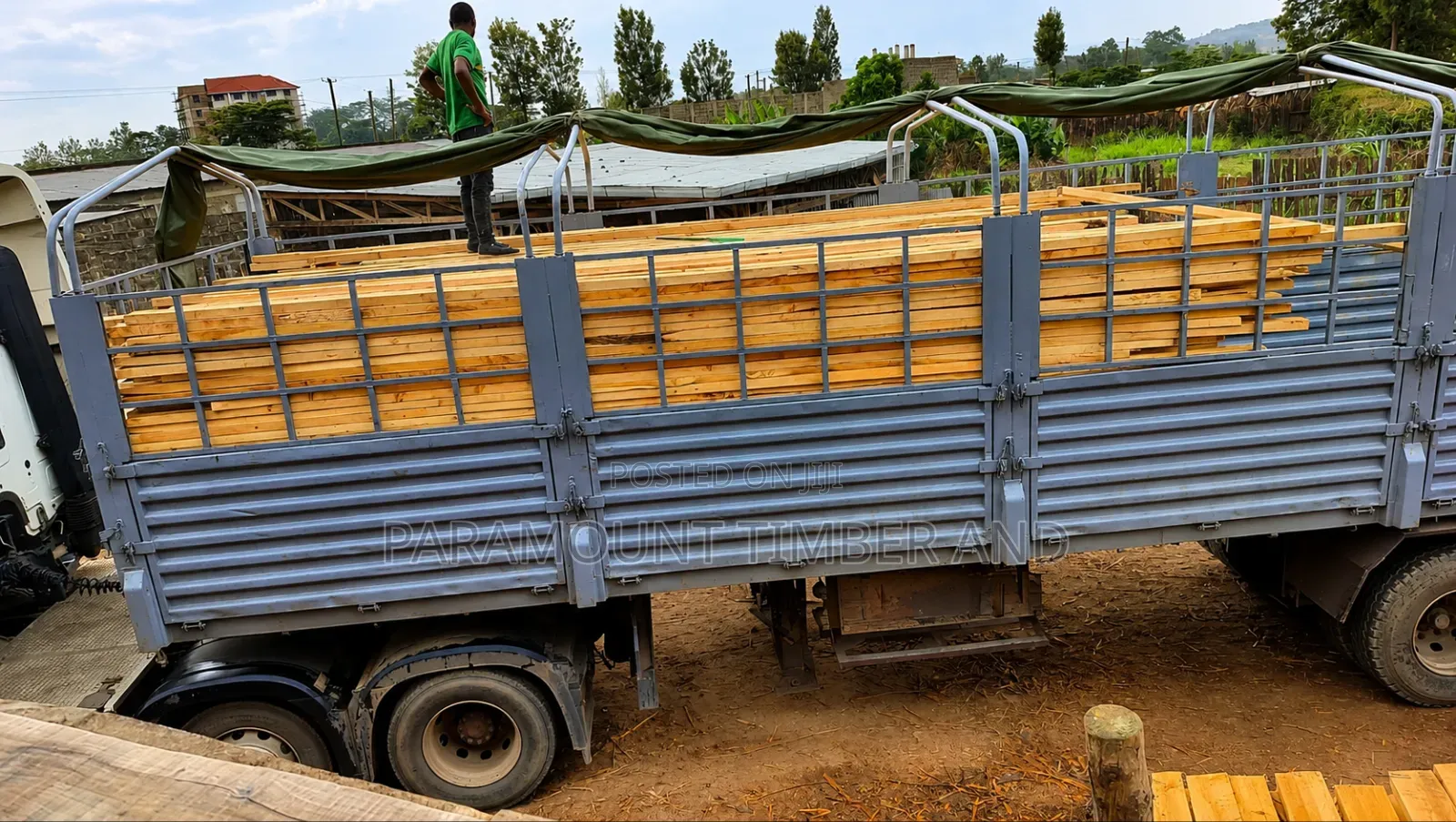 Roofing Timber on Offer Cypress, Pine and Bluegum Free Delivery