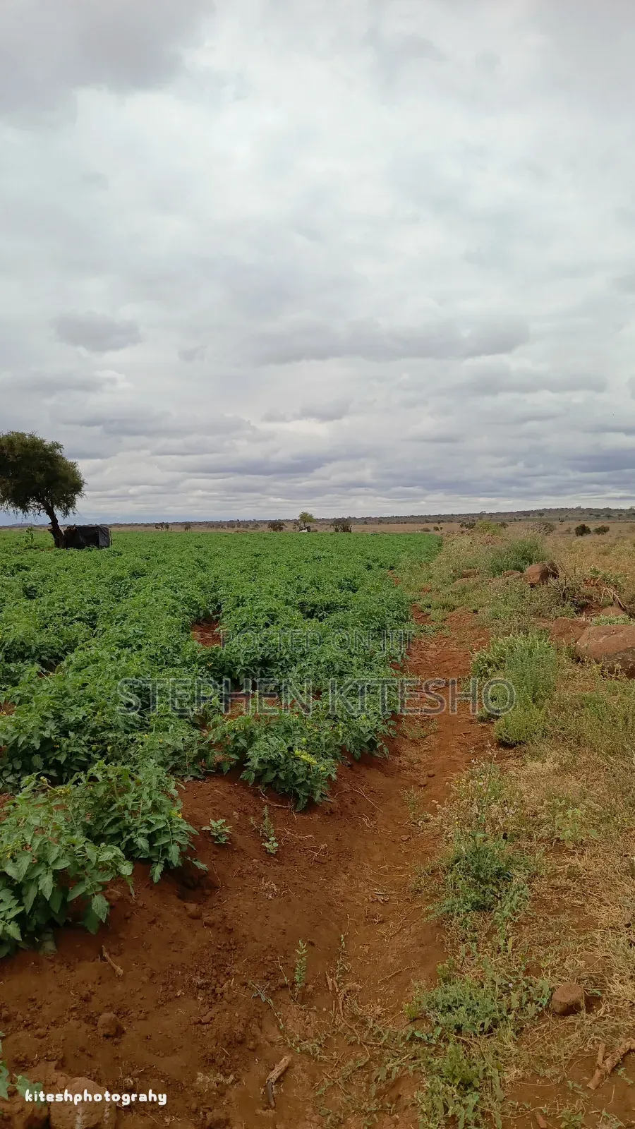 13acres for Sale Loitoktok Seneti Area