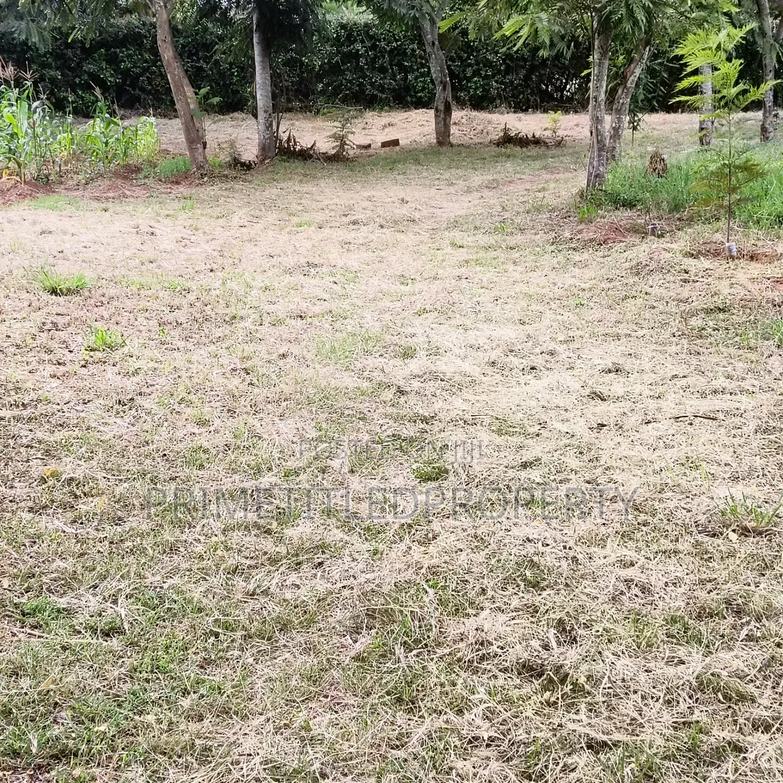 2.04 Acres at Makutano Kyumvi Junction Just Off Mombasa Rd