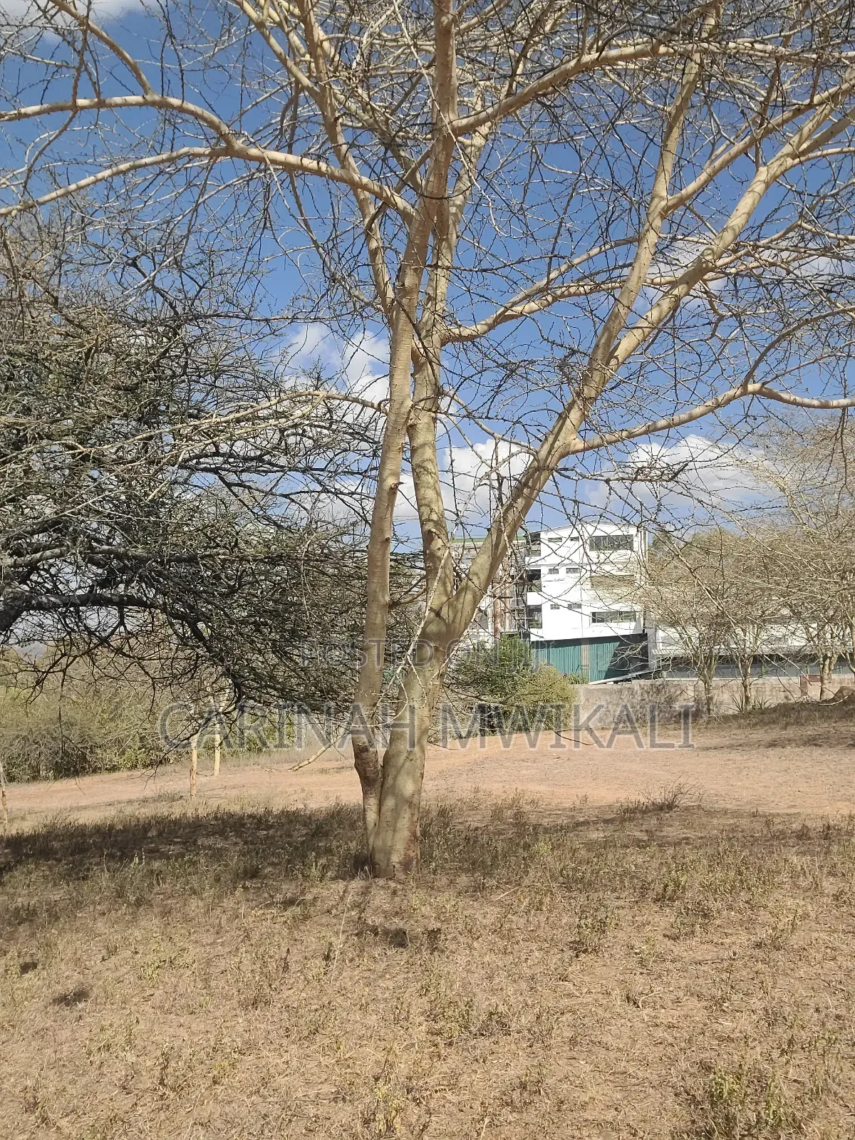 50 by 100 at Kathome,Machakos Going for 1.5m