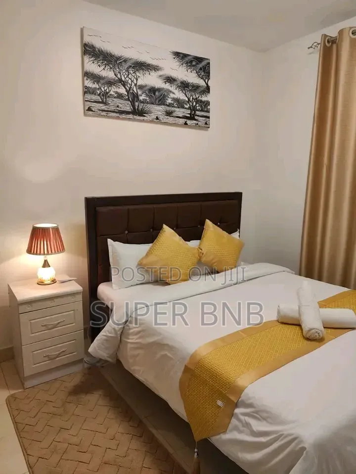Fully Furnished Studio, One and Two Bedrooms Thika Superhighway TRM
