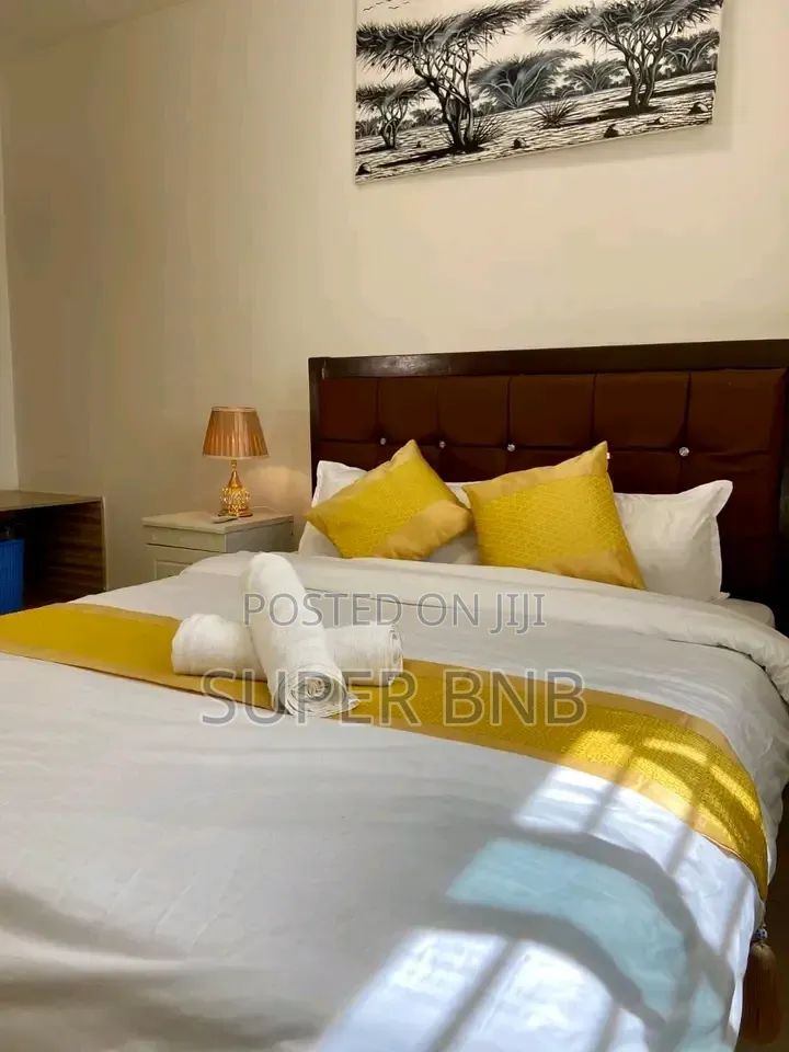 Fully Furnished Studio, One and Two Bedrooms Thika Superhighway TRM
