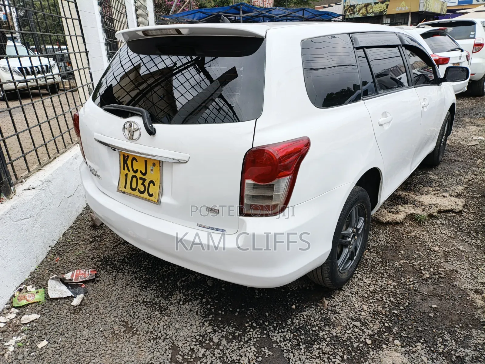 Toyota Corolla Fielder 2010 Pearl