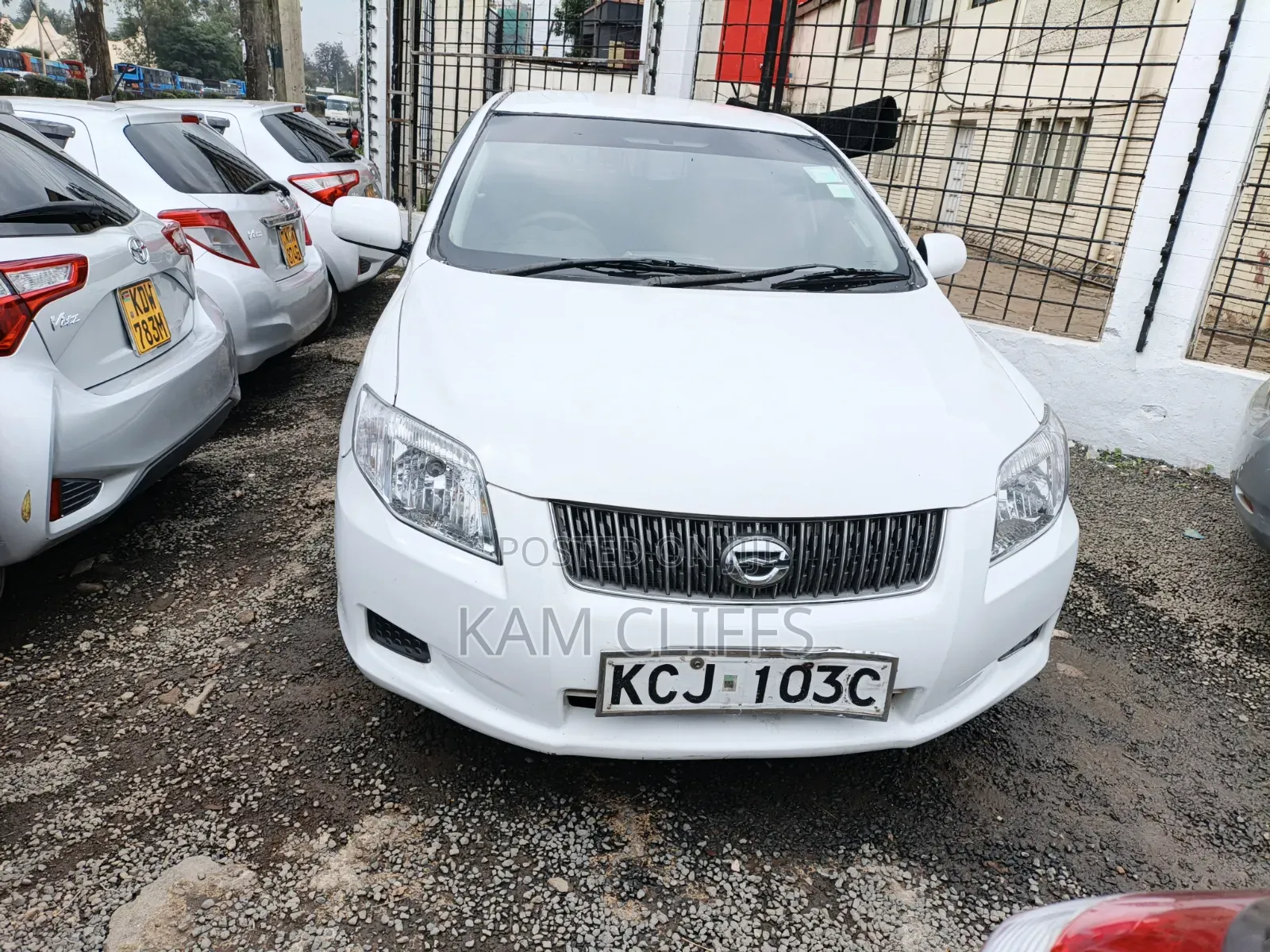 Toyota Corolla Fielder 2010 Pearl