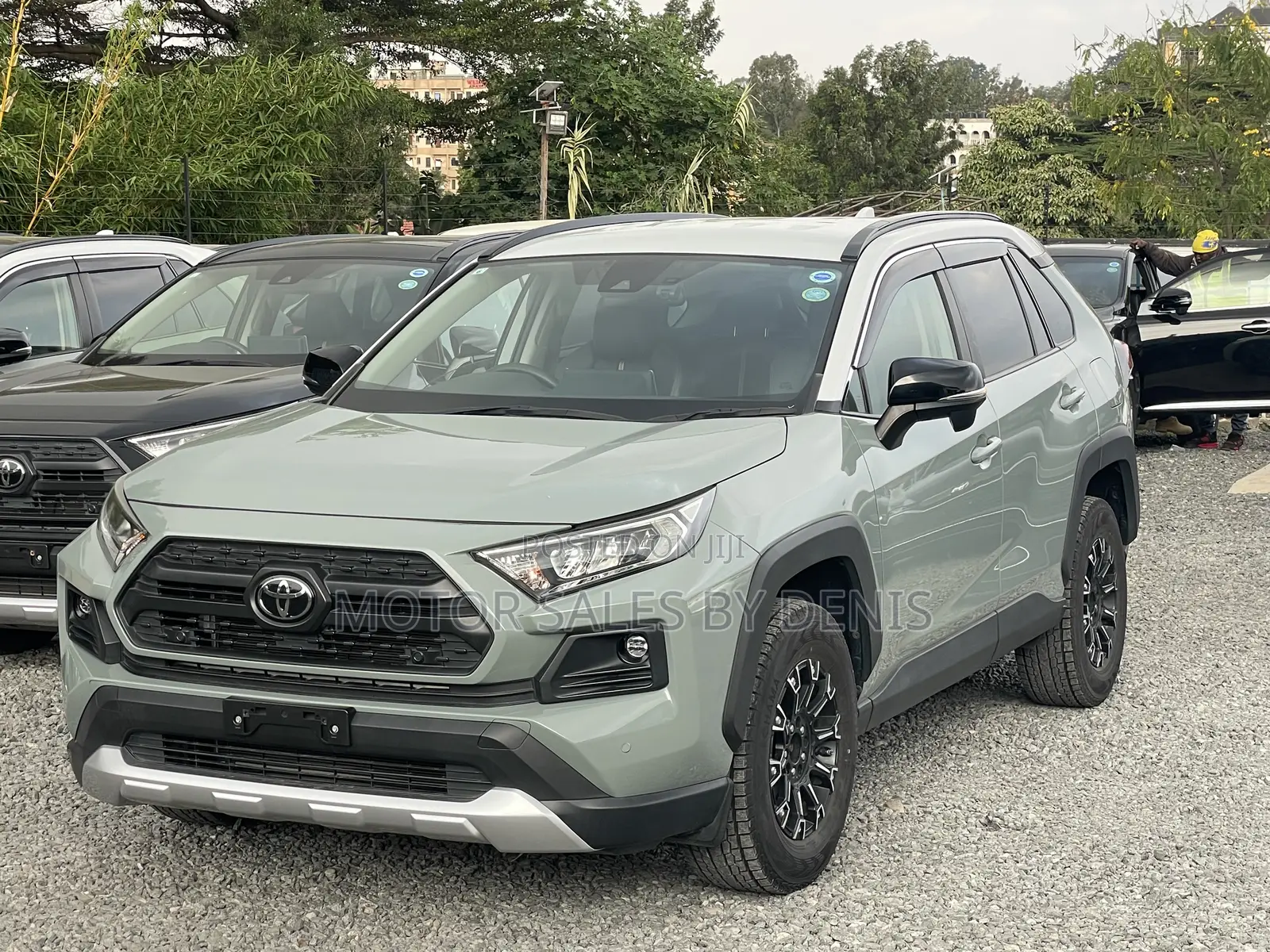Toyota RAV4 Adventure 2019 Green