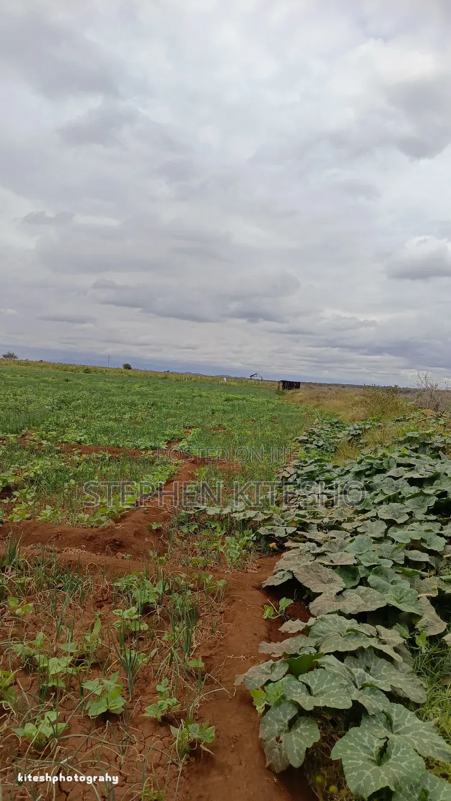 10acres for Sale at Loitoktok Kimana Area