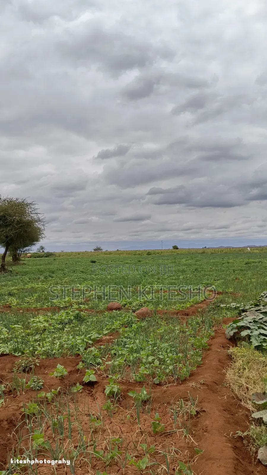 10acres for Sale at Loitoktok Kimana Area