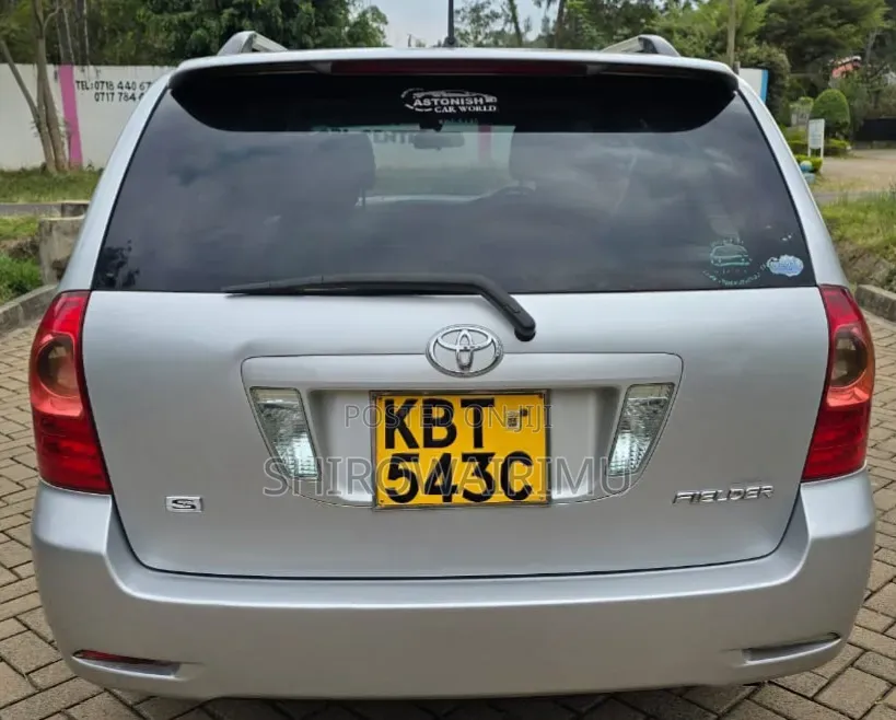 Toyota Corolla Fielder 2005 Silver