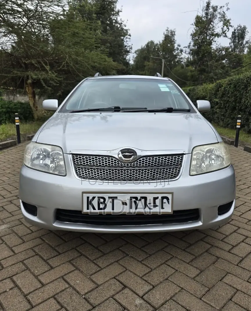 Toyota Corolla Fielder 2005 Silver