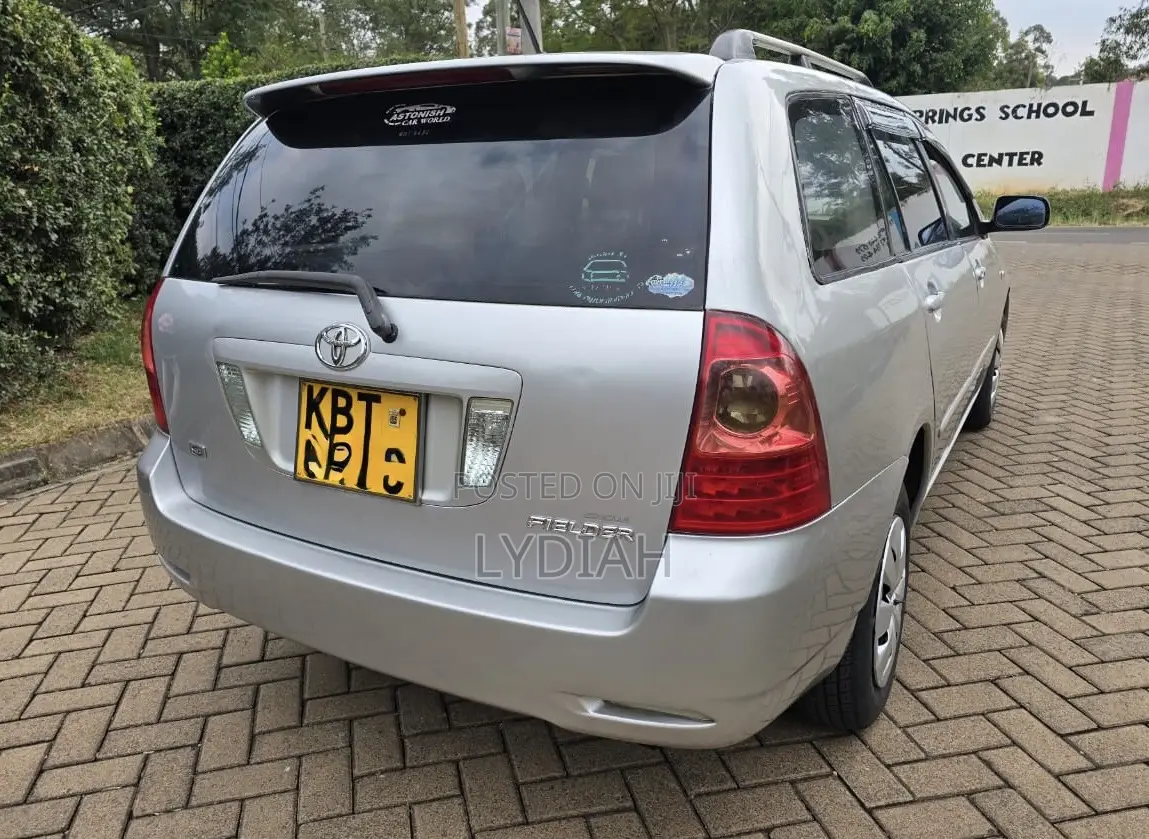 Toyota Corolla Fielder 2005 Silver