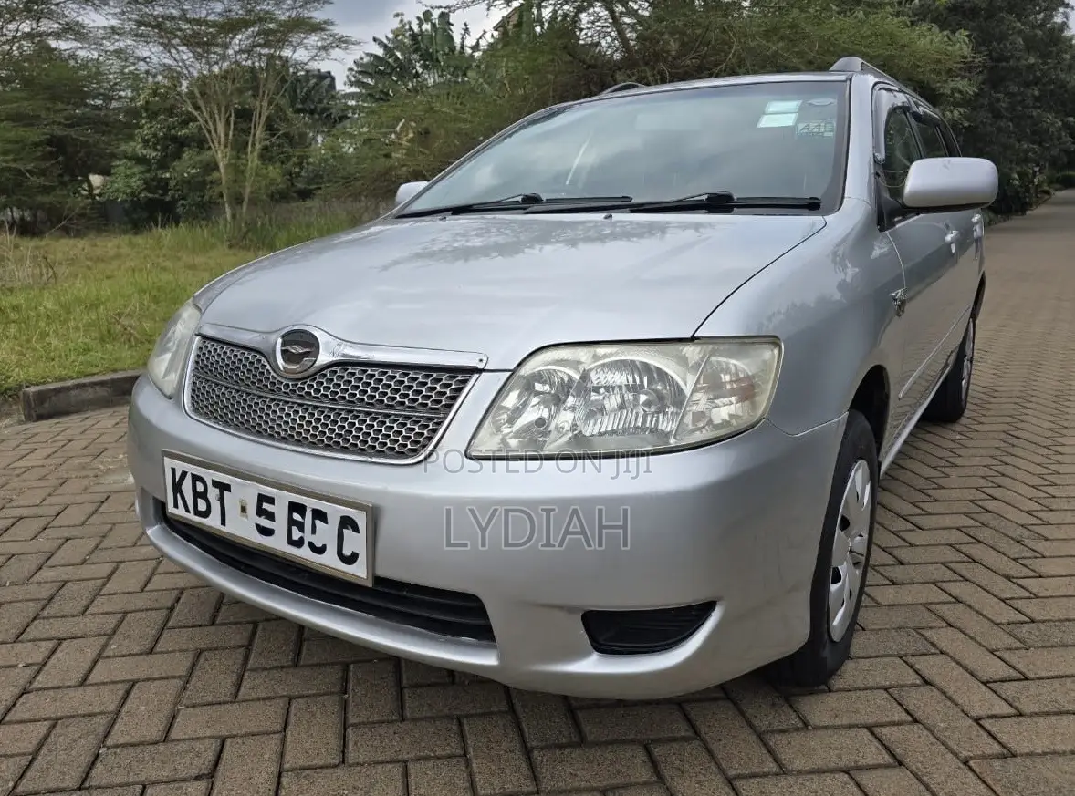 Toyota Corolla Fielder 2005 Silver