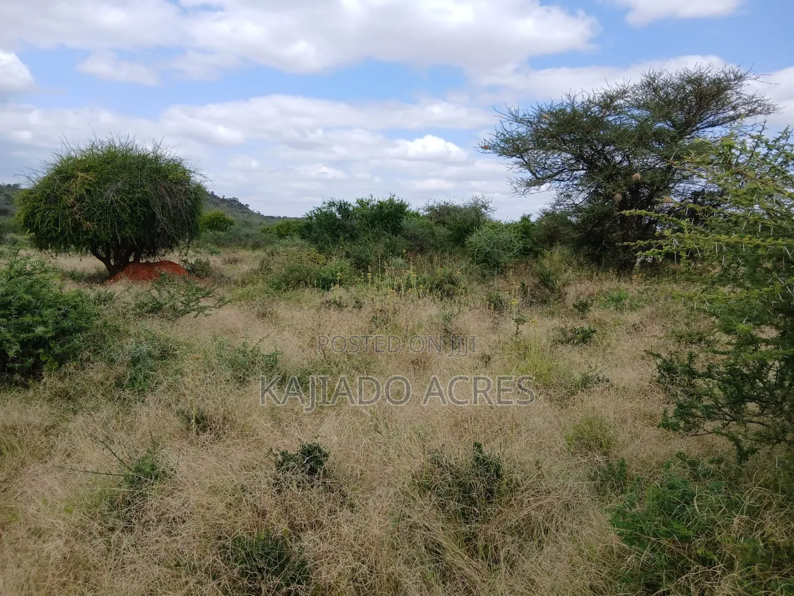 38 Acres Nguyan at Per Acre